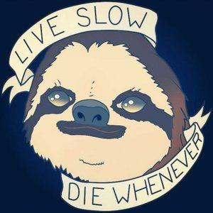 Meet your Posher, Paige